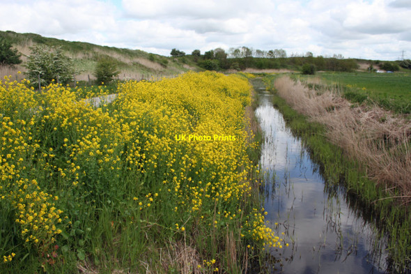 Photo 6"x4" Land drain next to Lordship Lane Frodsham c2012