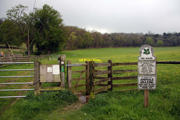 Photo 6"x4" Kissing gate to the Holies Streatley\/SU5980 c2012