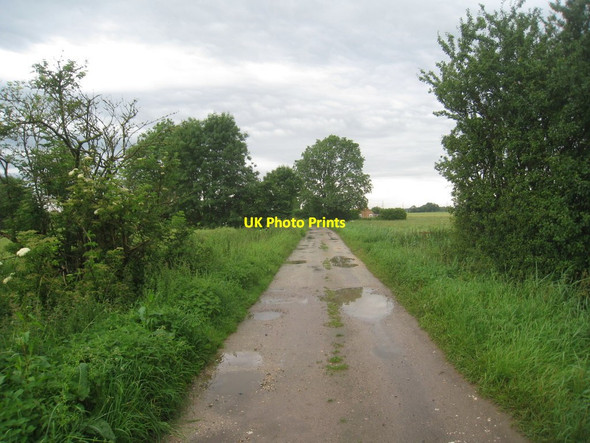 Photo 6"x4" Field Lane, Morton (2) Gainsborough\/SK8189 c2012