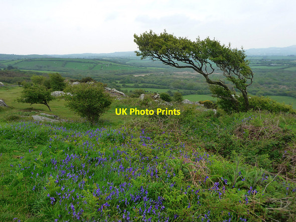 Photo 6"x4" View from Helman Tor Lowertown\/SX0561 c2012
