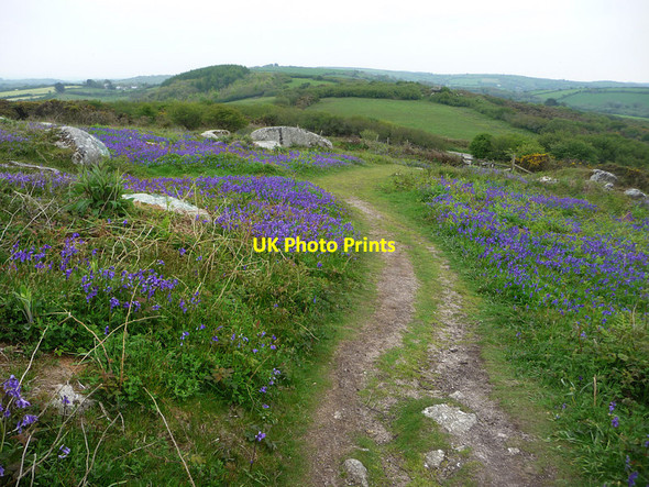 Photo 6"x4" Path on Helman Tor Lowertown\/SX0561 c2012