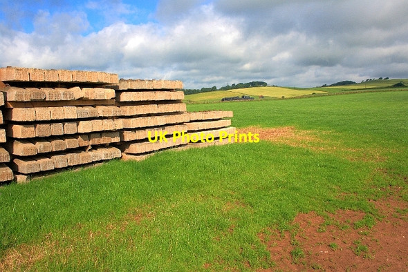 Photo 6"x4" Field with a Stack of Railway Sleepers Allgreave c2012