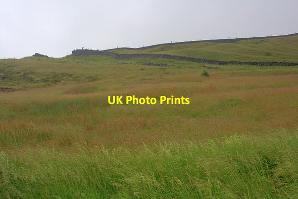 Photo 6"x4" Rough Grazing, Pym Chair Fernilee c2012