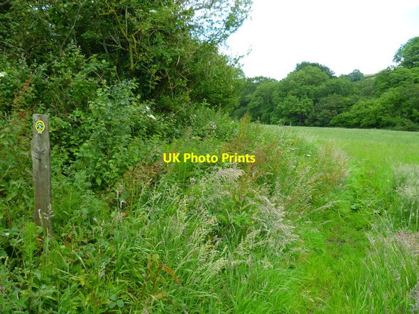 Photo 6"x4" The Orange Way in Dorset and Somerset (39) Blackney c2012