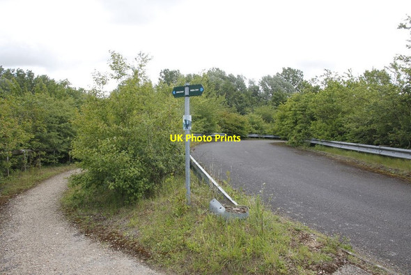 Photo 6"x4" Road to Queensford Farm Dorchester\/SU5794 c2012