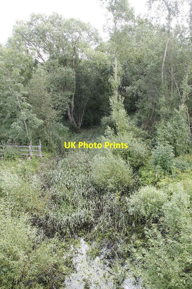 Photo 6"x4" Coming from the river Dorchester\/SU5794 c2012