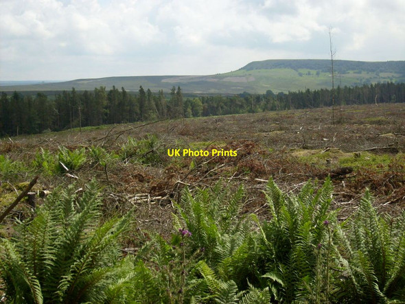 Photo 6"x4" View towards Birk Nab Helmsley Moor c2012