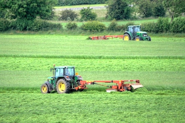 Photo 6"x4" Cutting the Silage Newton under Roseberry c2008