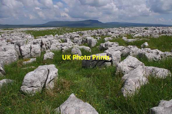 Photo 6"x4" Limestone pavement, Sulber Selside\/SD7875 c2012