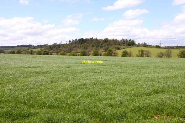 Photo 6"x4" Looking over a field towards Thurle Down Streatley\/SU5980 c2012