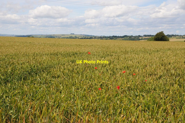 Photo 6"x4" View to Brailes Hill Wigginton Heath c2012