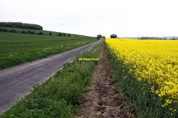 Photo 6"x4" White House Road in North Stoke North Stoke\/SU6186 c2012