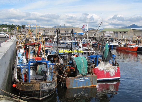 Photo 6"x4" Fishing boats at Kilkeel Kilkeel c2012