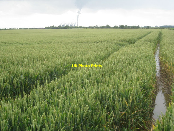 Photo 6"x4" Waterlogged wheatfield Normanby by Stow c2012