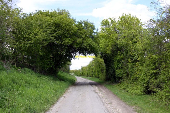 Photo 6"x4" The road to Aston Tirrold Aston Tirrold c2012
