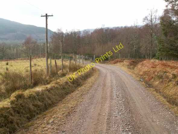Photo 6"x4" Estate road to Erchless Cottages Erchless Castle c2006