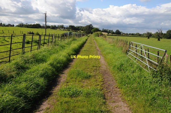Photo 6"x4" Track near Southend Farm Newbridge Green c2012