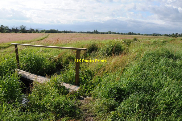 Photo 6"x4" Footbridge on Upper Ham Grov c2012