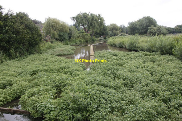 Photo 6"x4" Ewelme Watercress beds Ewelme c2012