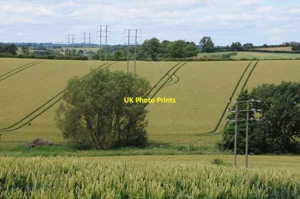 Photo 6"x4" Power line and wheat fields Lower Tadmarton c2012