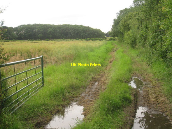 Photo 6"x4" Field entrance by small plantation, Kexby Lane Knaith Park c2012