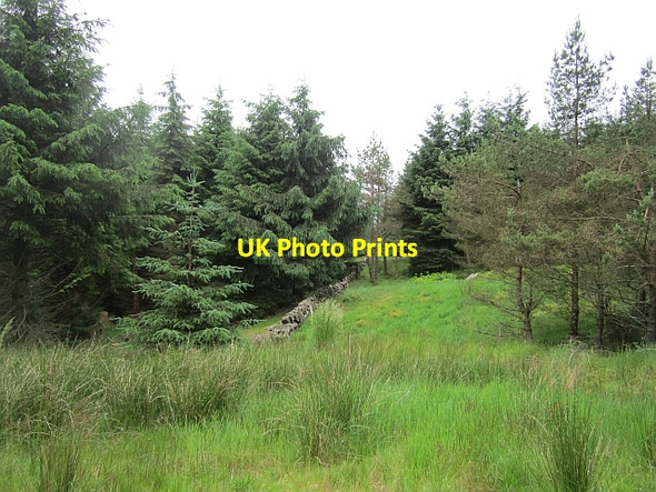 Photo 6"x4" Old dyke on the Cleish Hills Cleish c2012