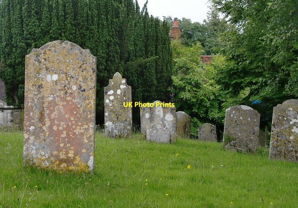Photo 6"x4" Headstones in Witley churchyard Culmer c2012