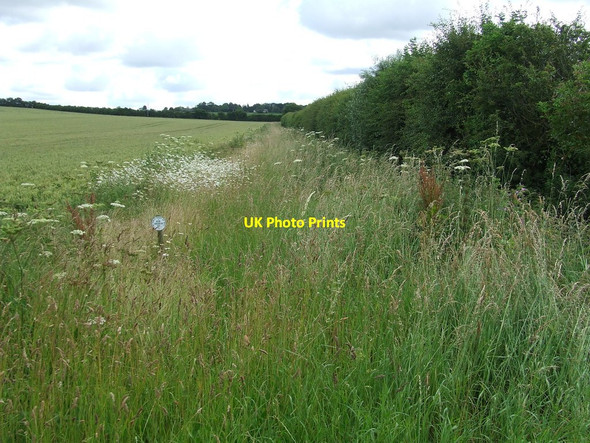 Photo 6"x4" Nature Conservation Area Brinkley\/TL6254 c2012