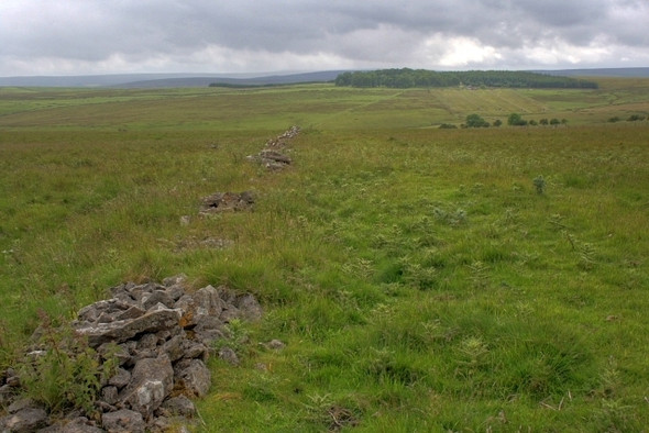 Photo 6"x4" Ruined Wall, Feldom Gayles\/NZ1207 c2008