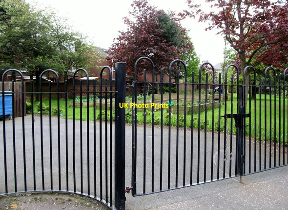 Photo 6"x4" Allotments in the grounds of the Divis Tower Belfast c2012