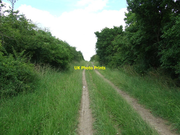 Photo 6"x4" The Icknield Way West Wratting c2012