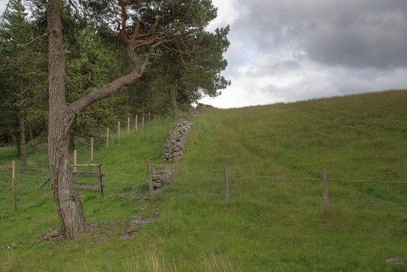 Photo 6"x4" Folly Plantation Gayles\/NZ1207 c2008