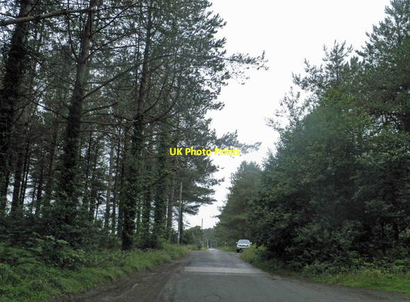 Photo 6"x4" Through the trees to the Recycling Centre, Morfa Harlech Harlech c2012