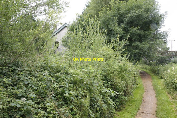 Photo 6"x4" House in the trees Colthrop c2012