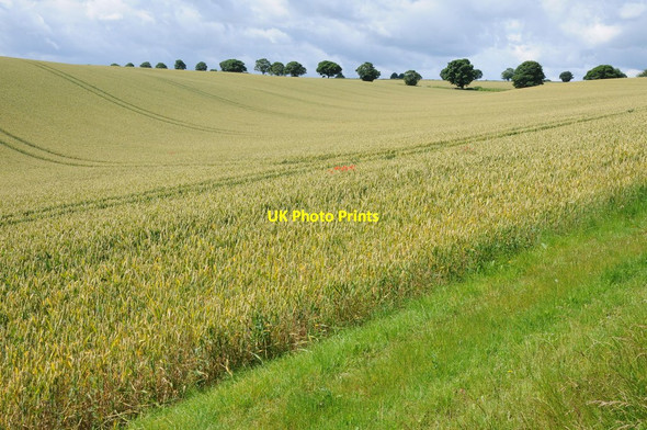 Photo 6"x4" Cotswold landscape Condicote c2012