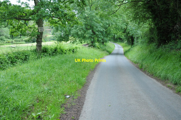 Photo 6"x4" Country road near Donnington Condicote c2012