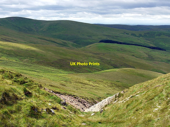 Photo 6"x4" Hillside south-west of Outer Cock Law White Knowe\/NT8617 c2012