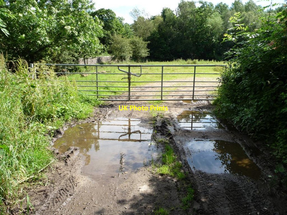 Photo 6"x4" Muddy and gated field entrance Thorner c2012
