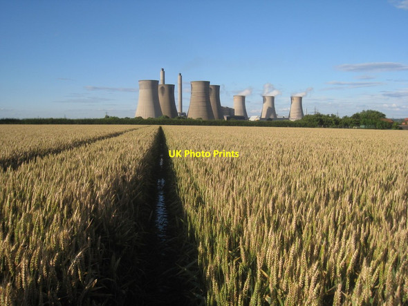 Photo 6"x4" Ripening wheat in waterlogged field, Sturton le Steeple Sturton le Steeple c2012