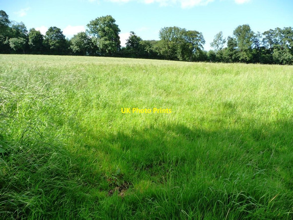 Photo 6"x4" Meadowland in sunshine and shade Sandhills\/SE3739 c2012