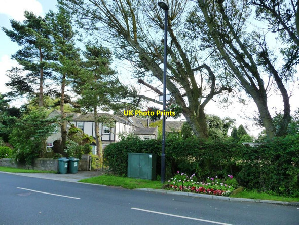 Photo 6"x4" Blooms on Main Street, Shadwell Shadwell\/SE3439 c2012