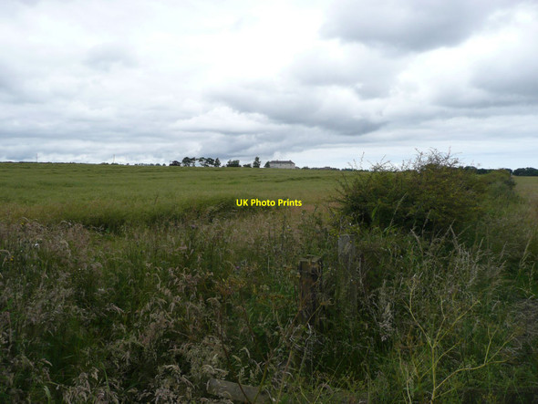 Photo 6"x4" Arable land near Guyzance Lee Hazon c2012