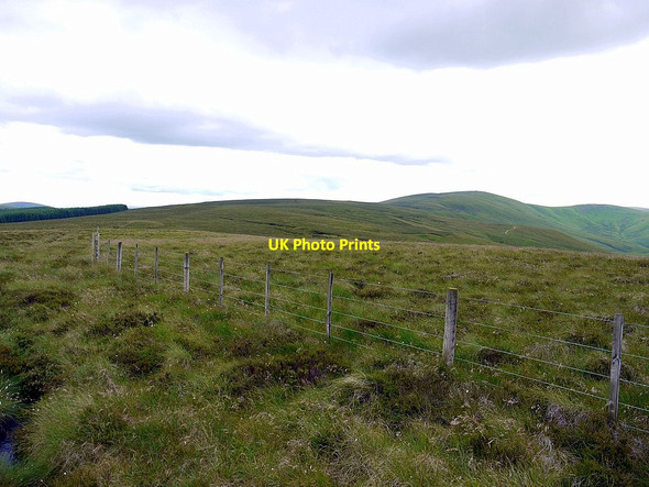 Photo 6"x4" Border fence south of King's Seat King's Seat\/NT8717 c2012