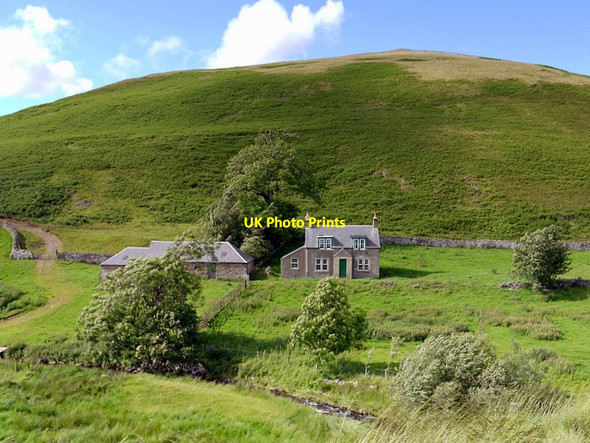Photo 6"x4" Auchope below The Bank Sourhope c2012