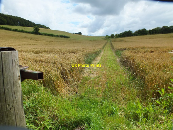 Photo 6"x4" Public Bridleway Hexton c2012