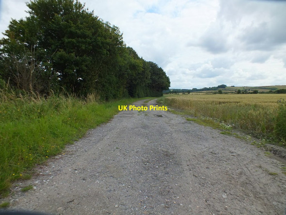 Photo 6"x4" Public Bridleway Higham Gobion c2012