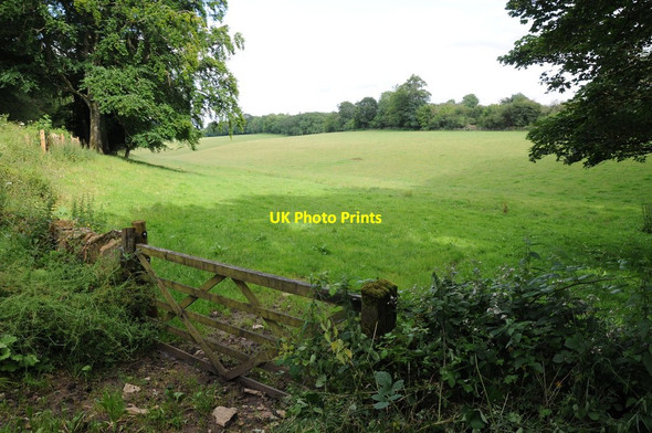 Photo 6"x4" Cotswold valley Condicote c2012