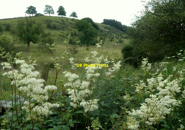 Photo 6"x4" Rough farmland and hillside Pilsley\/SK2471 c2012