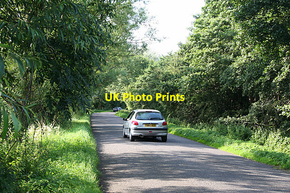 Photo 6"x4" Ashcott: Nythe Road Nythe\/ST4234 c2012