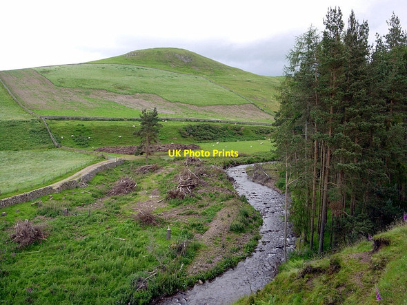 Photo 6"x4" Forestry work by Bowmont Water Sourhope c2012